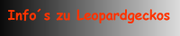 Infos zu Leopardgeckos